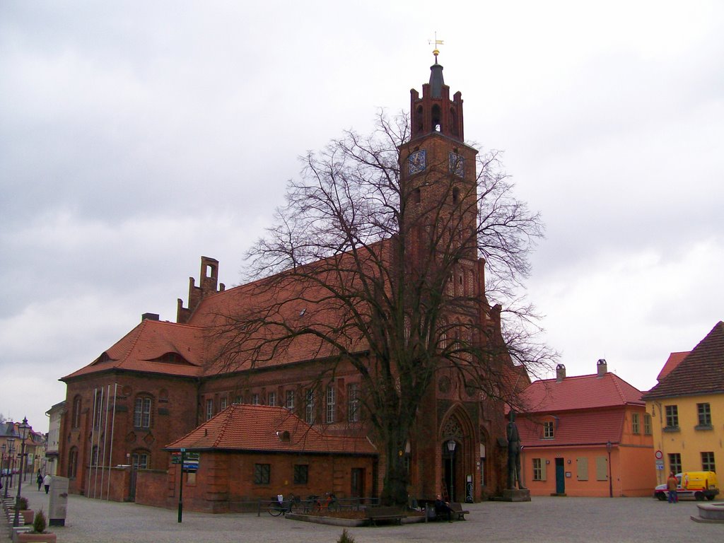Germany_City of Brandenburg_Old Town Hall and Roland Statue_100_3061.JPG
