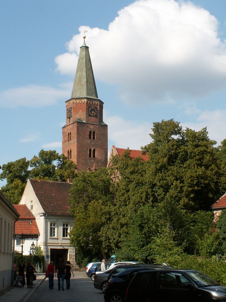 Dom, Brandenburg/Havel