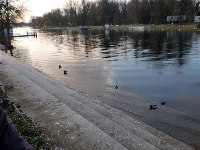 ein Wintertag an der Havel