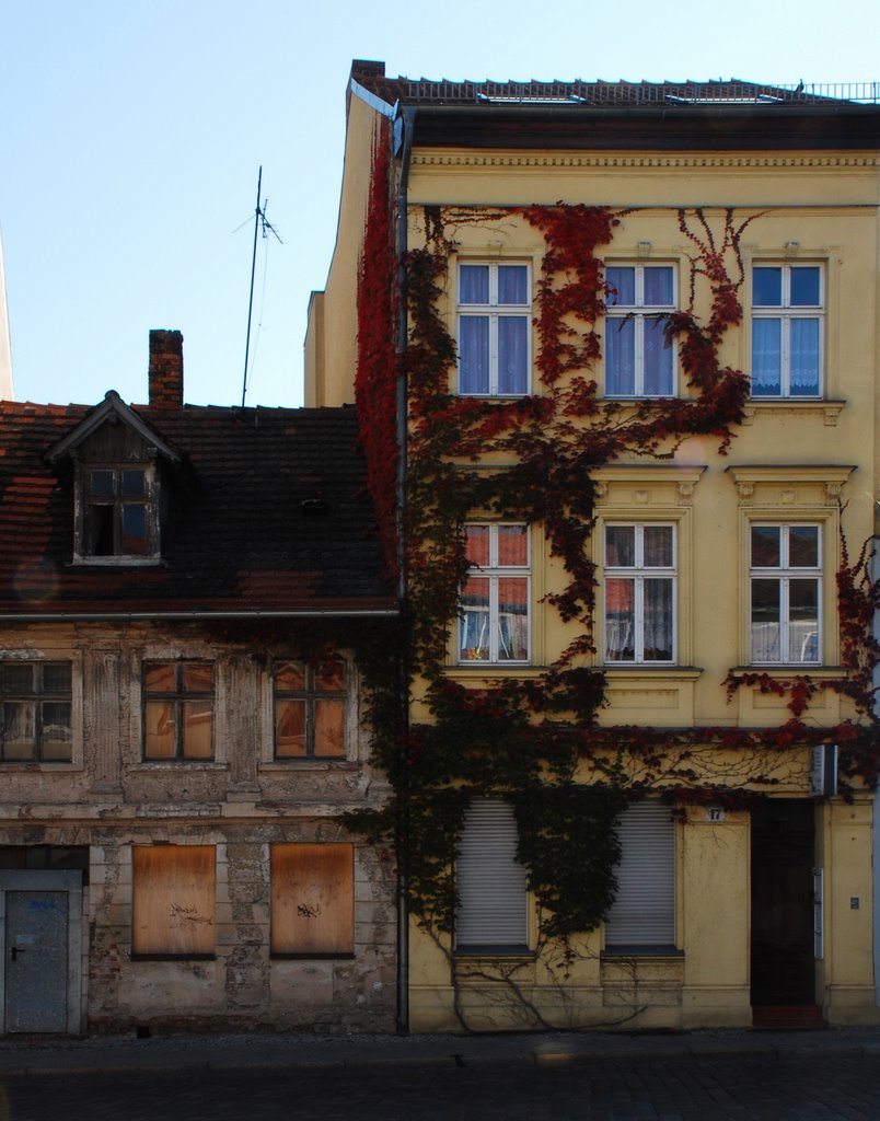 Realität 2007