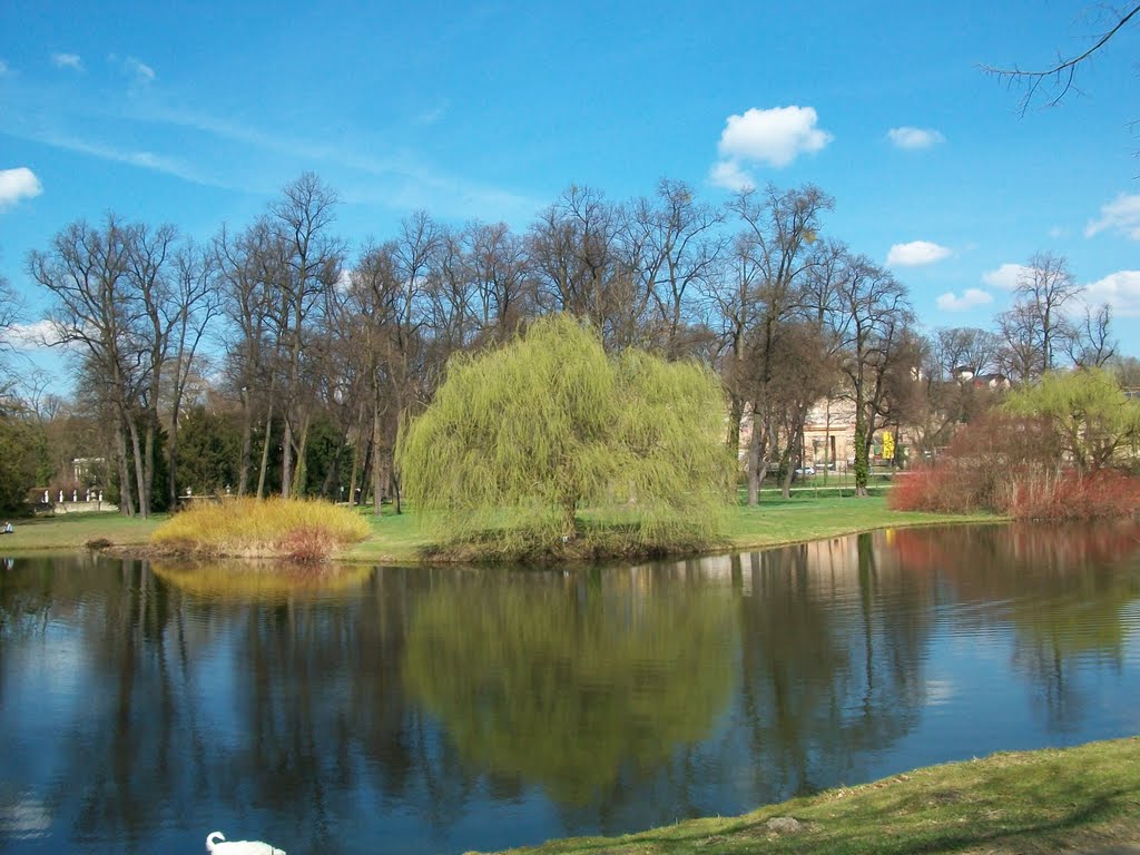 Irgendwo im Park Sanssouci