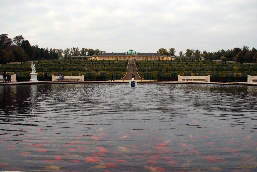 Sanssouci Palace... Potsdam...and the fish;-)...(by Sylvietsak)