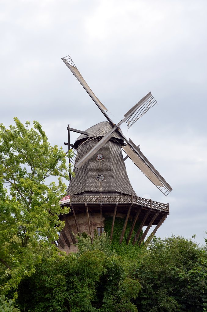 Windmill, Sanssouci Park, Potsdam (UNESCO)
