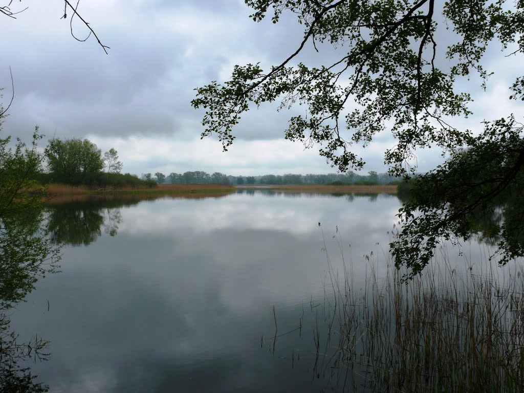 Rundgang auf dem Sauerwerder bei Teterow