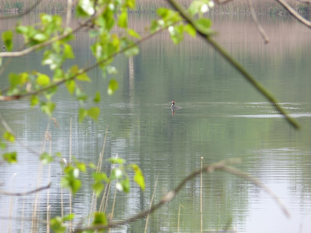 Rundgang auf dem Sauerwerder bei Teterow