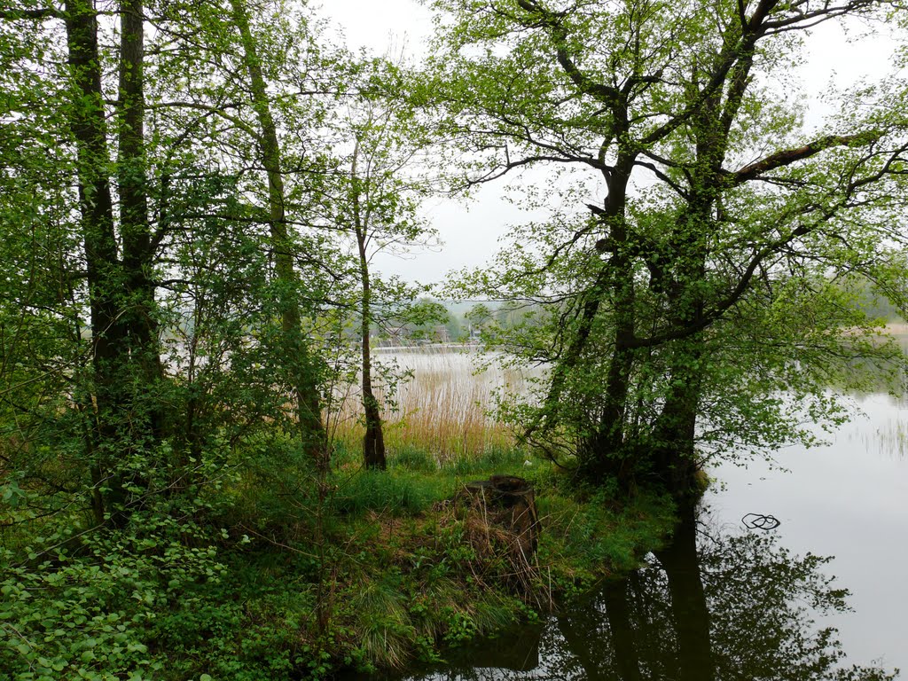 Rundgang auf dem Sauerwerder bei Teterow