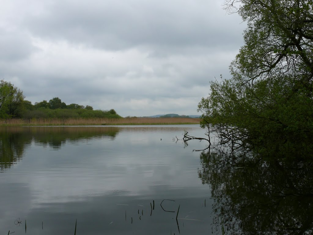 Rundgang auf dem Sauerwerder bei Teterow