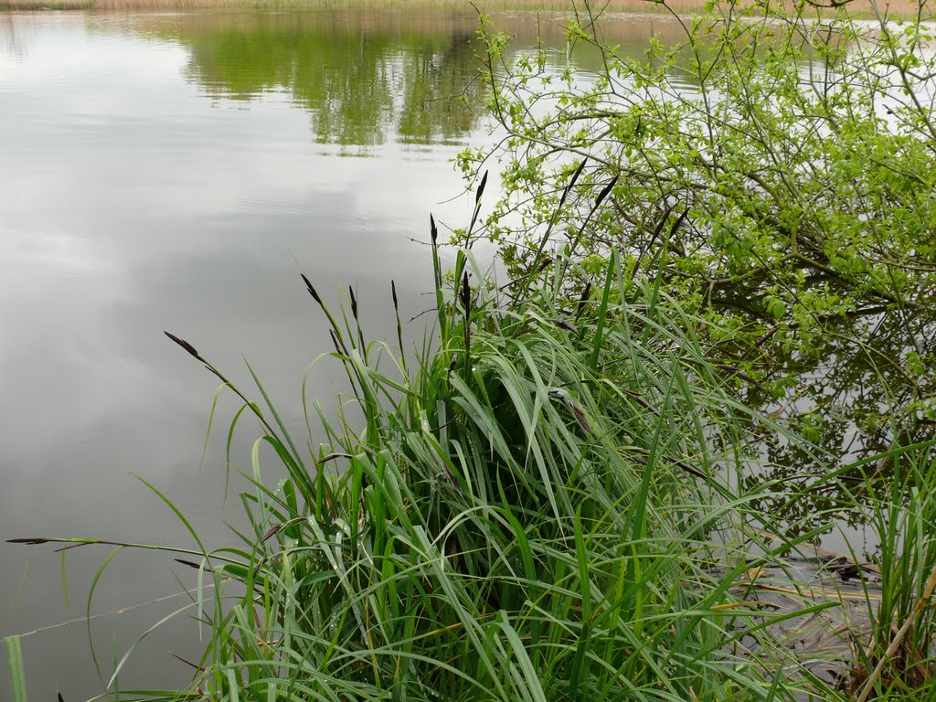 Rundgang auf dem Sauerwerder bei Teterow