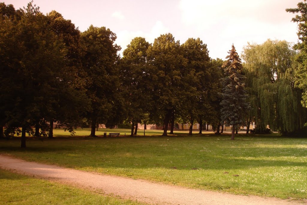 Stadtpark Teterow, 06/2011