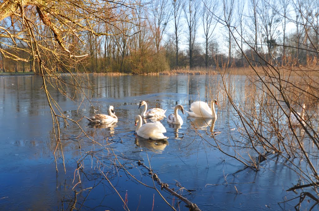 Ein Tag im Januar