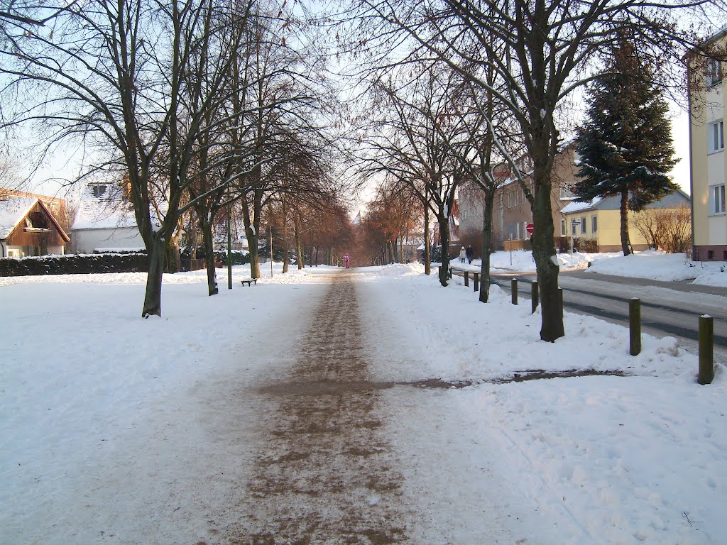 Von-Pentz-Allee im Winter