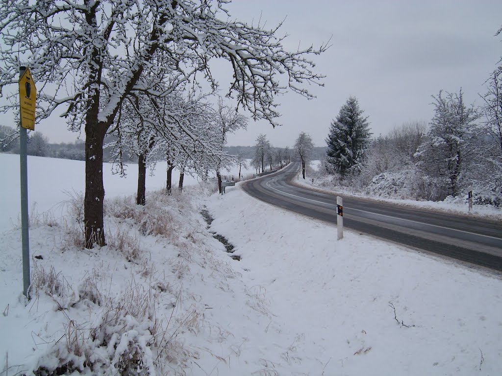 Straße nach Groß Wokern