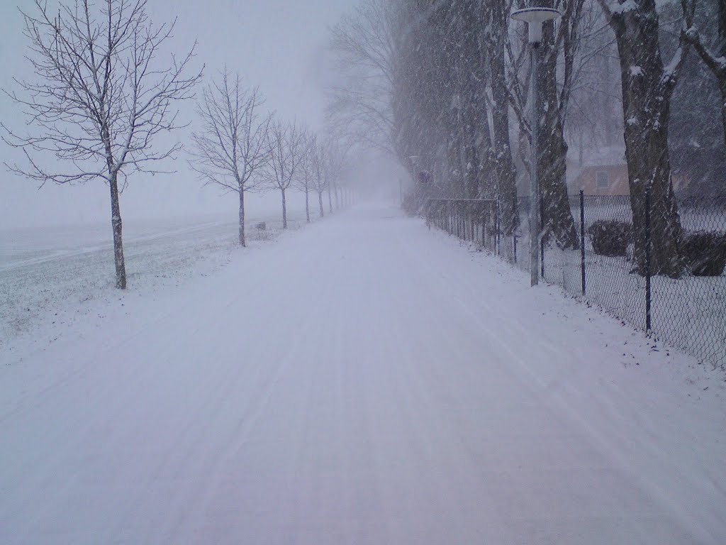Pampower Weg im Winter