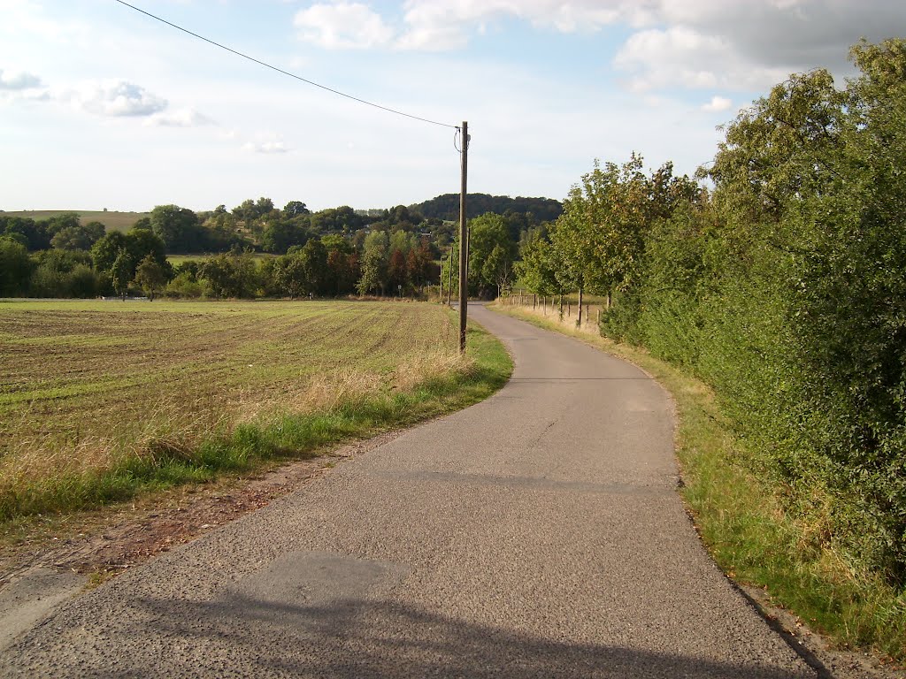 An der Wolfskuhle