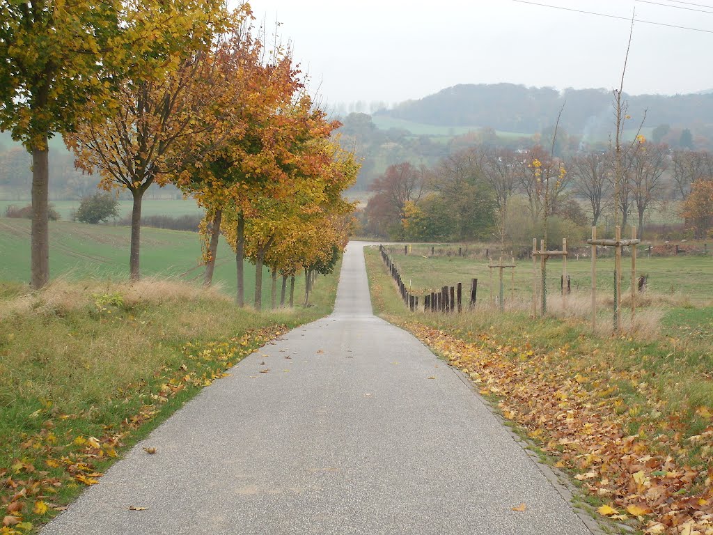 Weg Berg ab