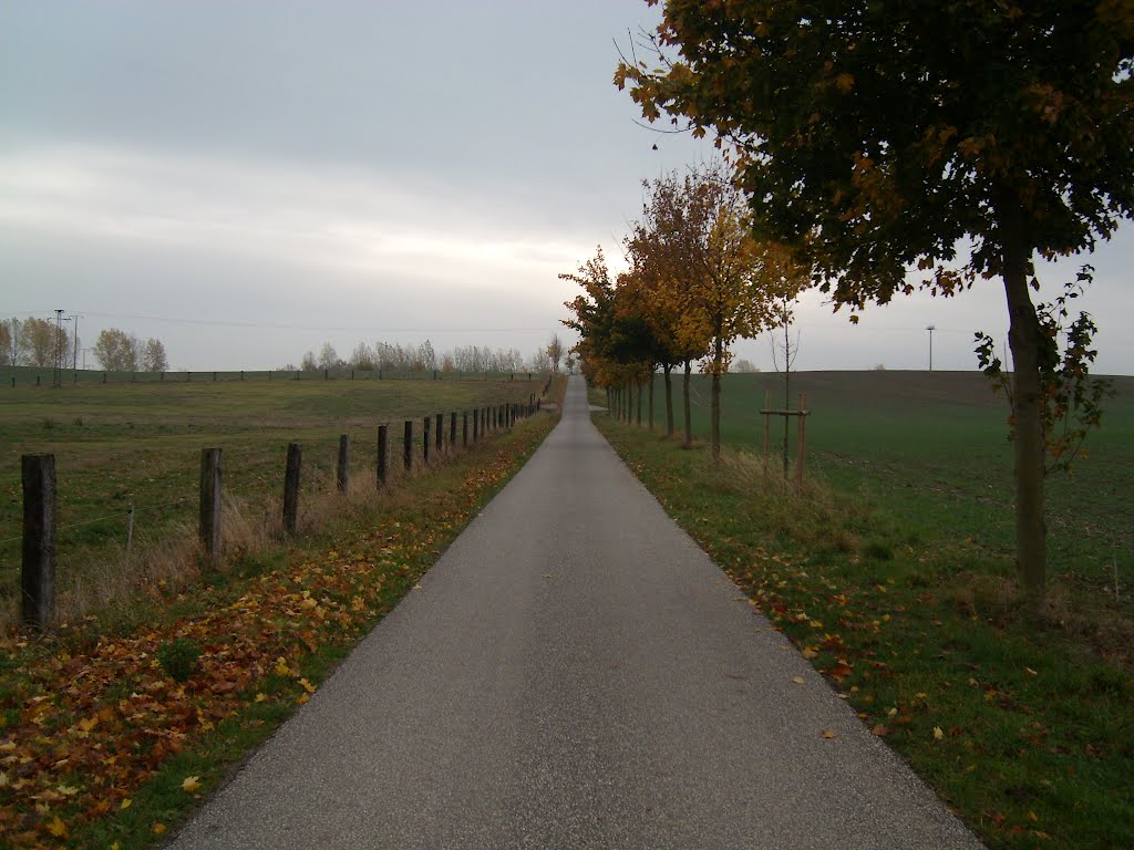 Weg Berg auf