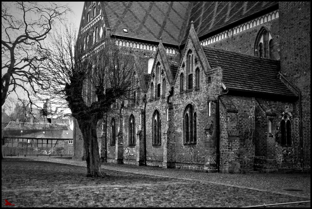 Güstrow, Dom