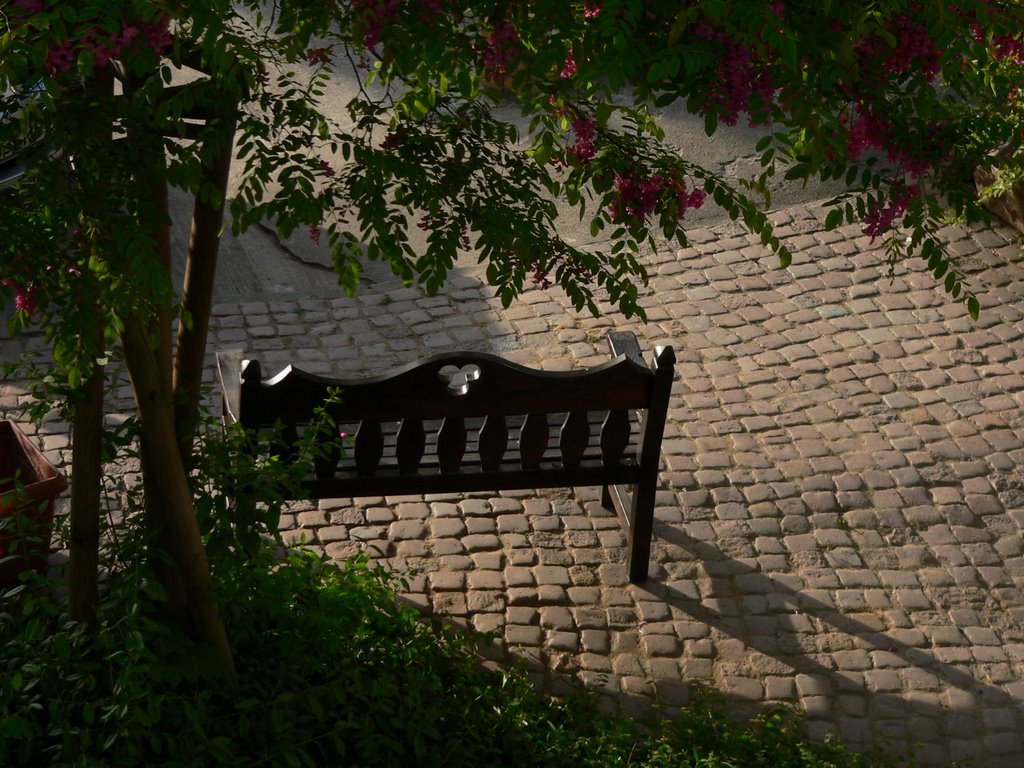 A perfect place in the morning sun under the Redflowered Robinia. Neubrandenburg