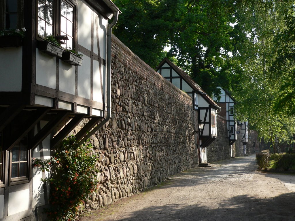 Houses atop the citywall of Neubrandenburg