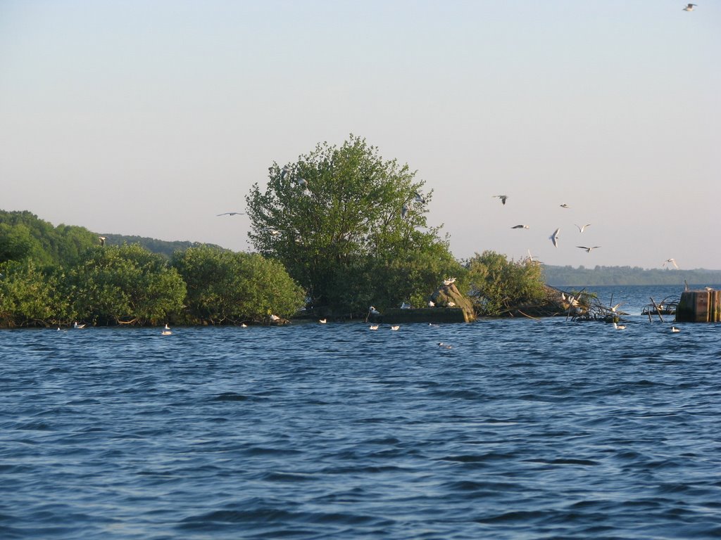Torpedo-Versuchsanstalt Tollensesee