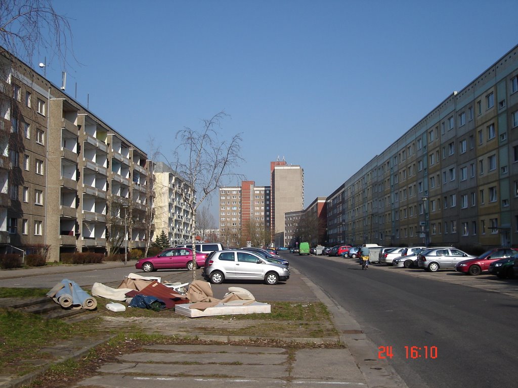 Max Adrion Straße