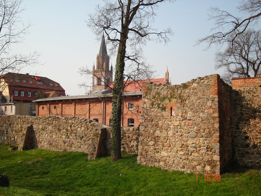 Stadtmauer mit Marienkirche im Hintergrund
