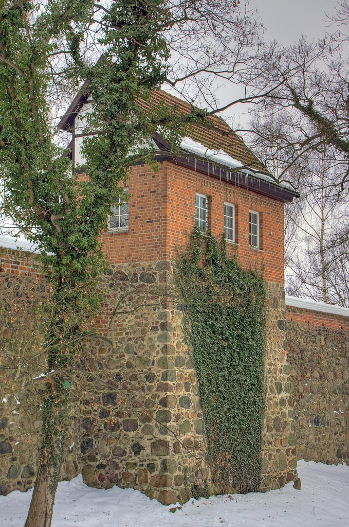 Wiekhaus