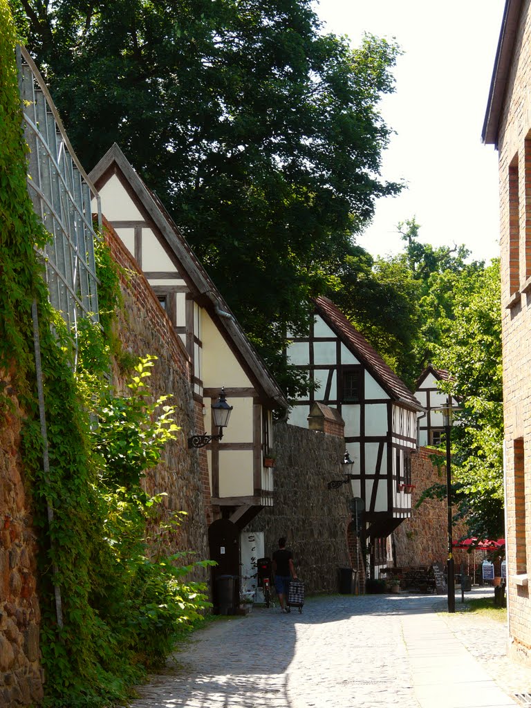 Germany_Mecklenburg_Neubrandenburg_City Wall with timber-framed Outlook Houses (Wiekhaus)_P1140836.JPG