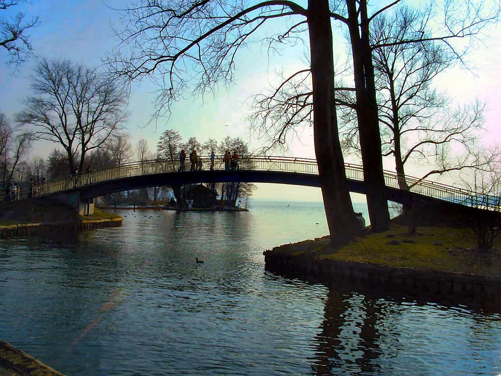 Brücke am Oberbach