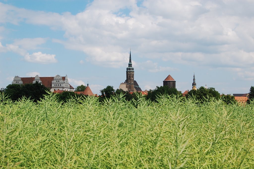 Bautzen Feldblick