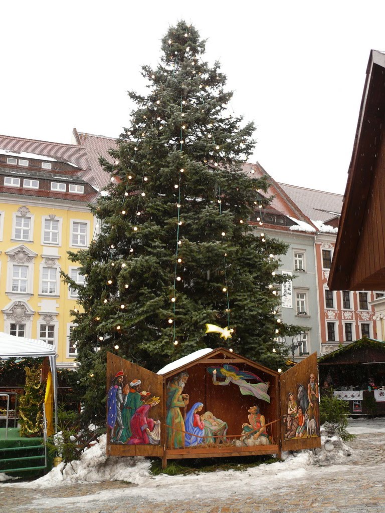 Weihnachtsbaum