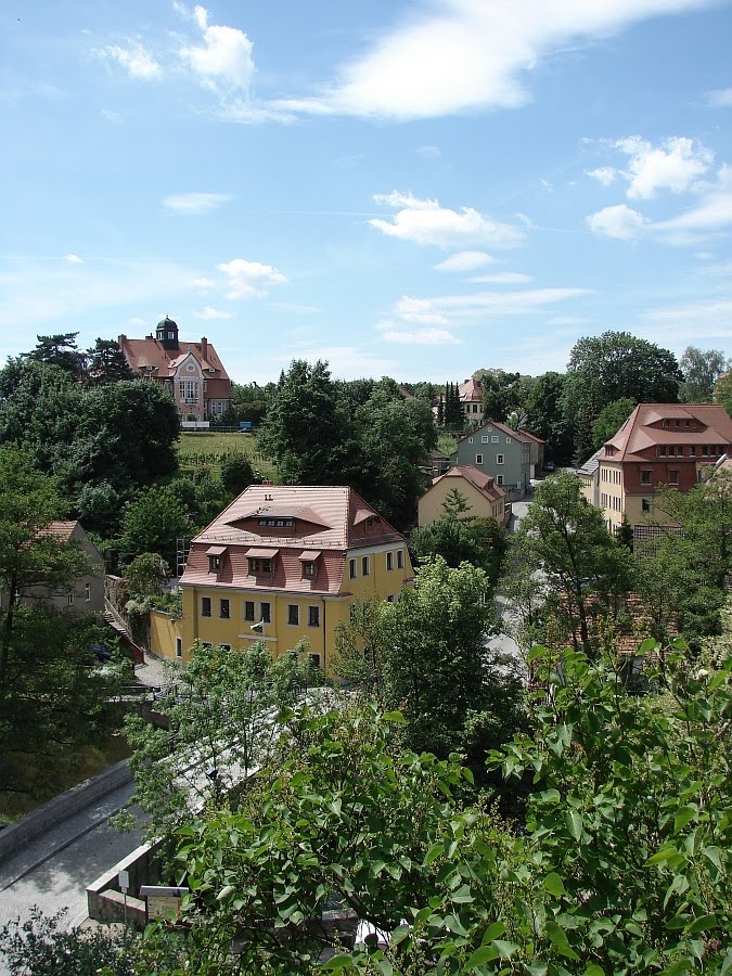 Budziszyn
