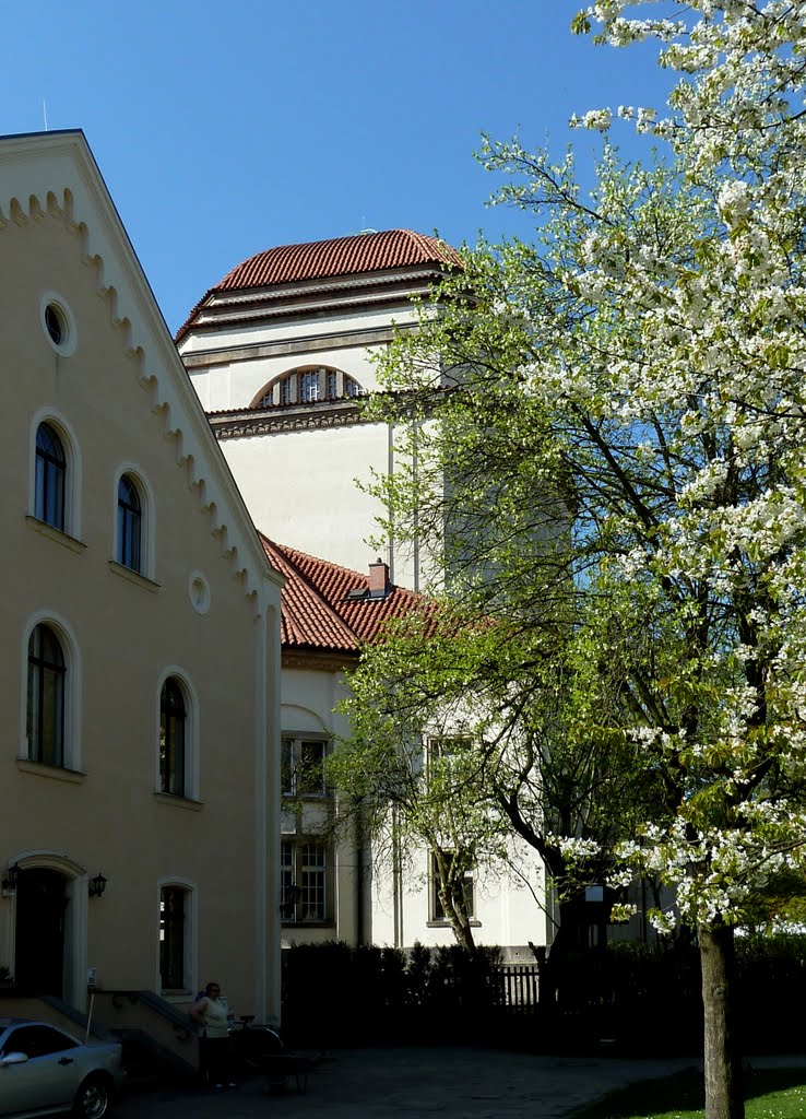 Gute Nachbarschaft, Katholisches Pfarrhaus und Synagoge