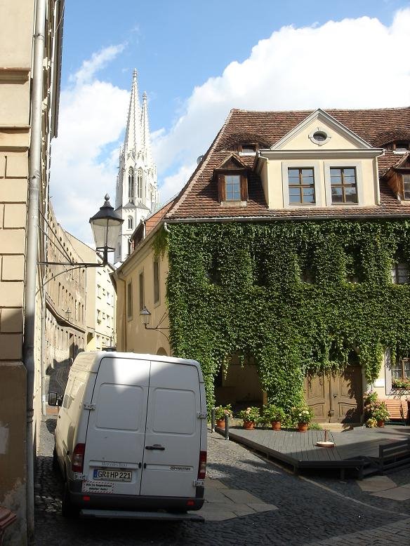Zugewachsene Fassade