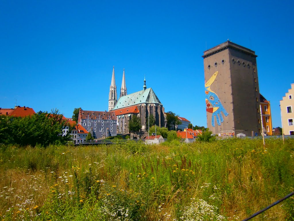 Blick auf die evangelische Pfarrkirche St.Peter in Görlitz
