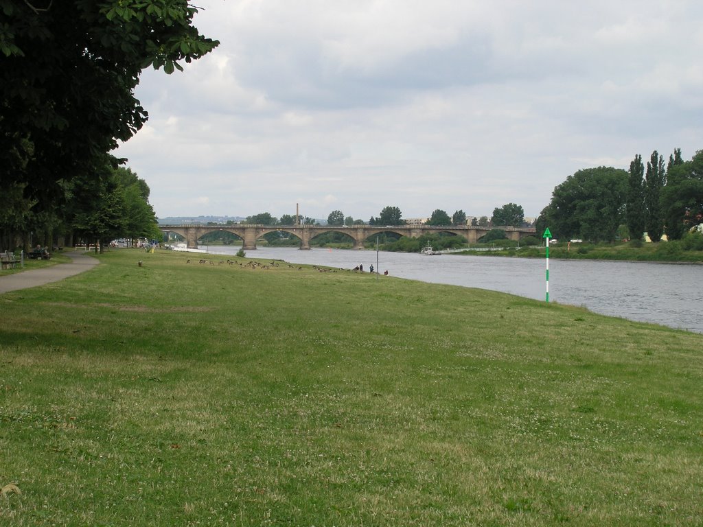 Elbebrücke Pirna