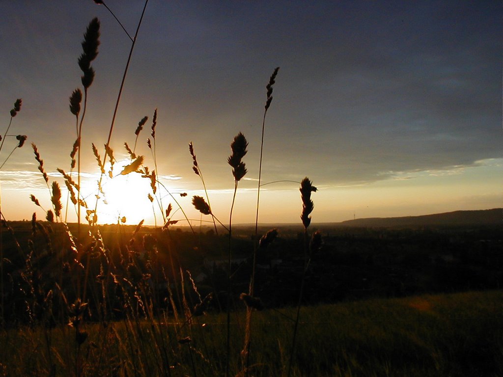 Sonnenuntergang über dem Dresdner Elbtal
