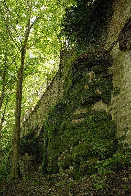 Canalettoweg - Malerweg in Pirna
