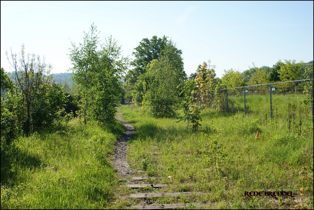Kurz vor Bahnhof Pirna Süd