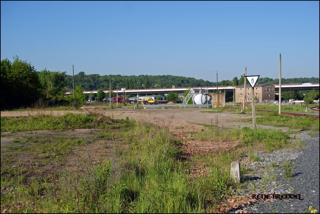 Alte Bahntrasse nach Bad Gottleuba