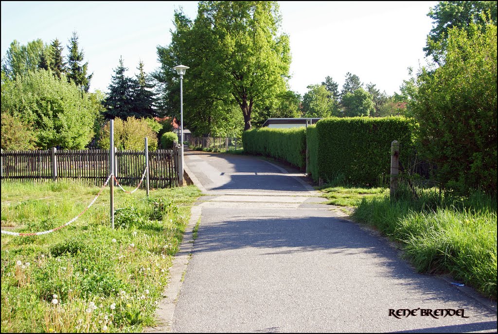 Bahnübergang Schlängelbachweg