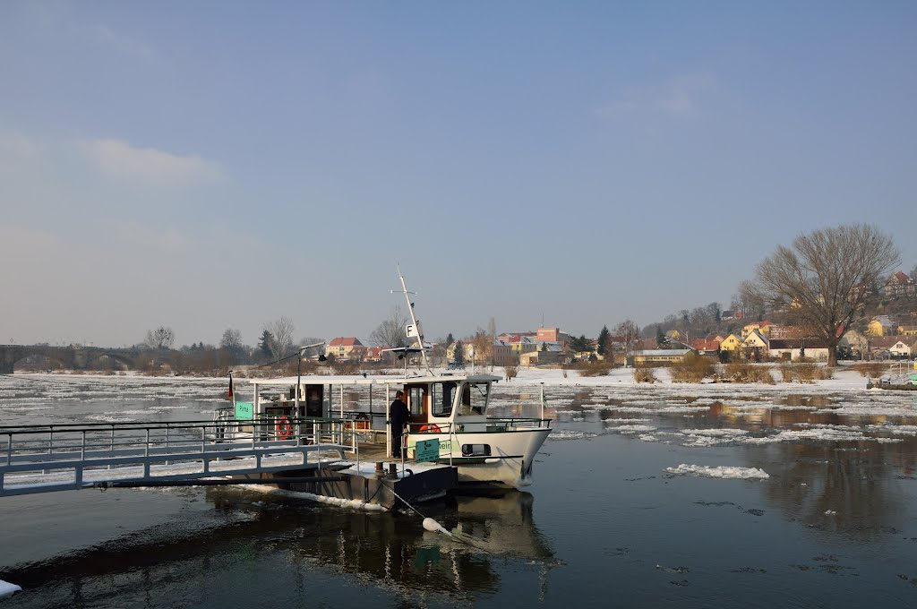 Fähre Pirna