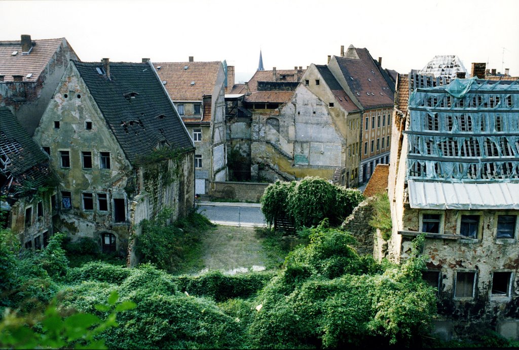 german_Reunification_04