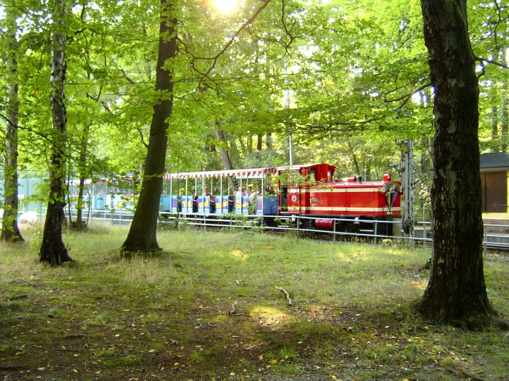 Parkeisenbahn