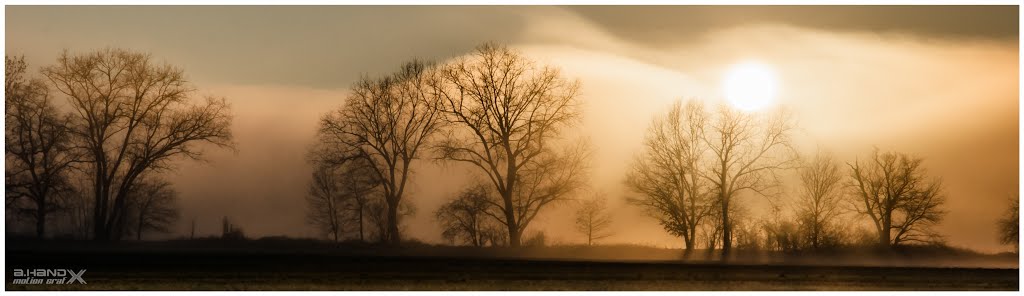 Wo die Nebel wallen...