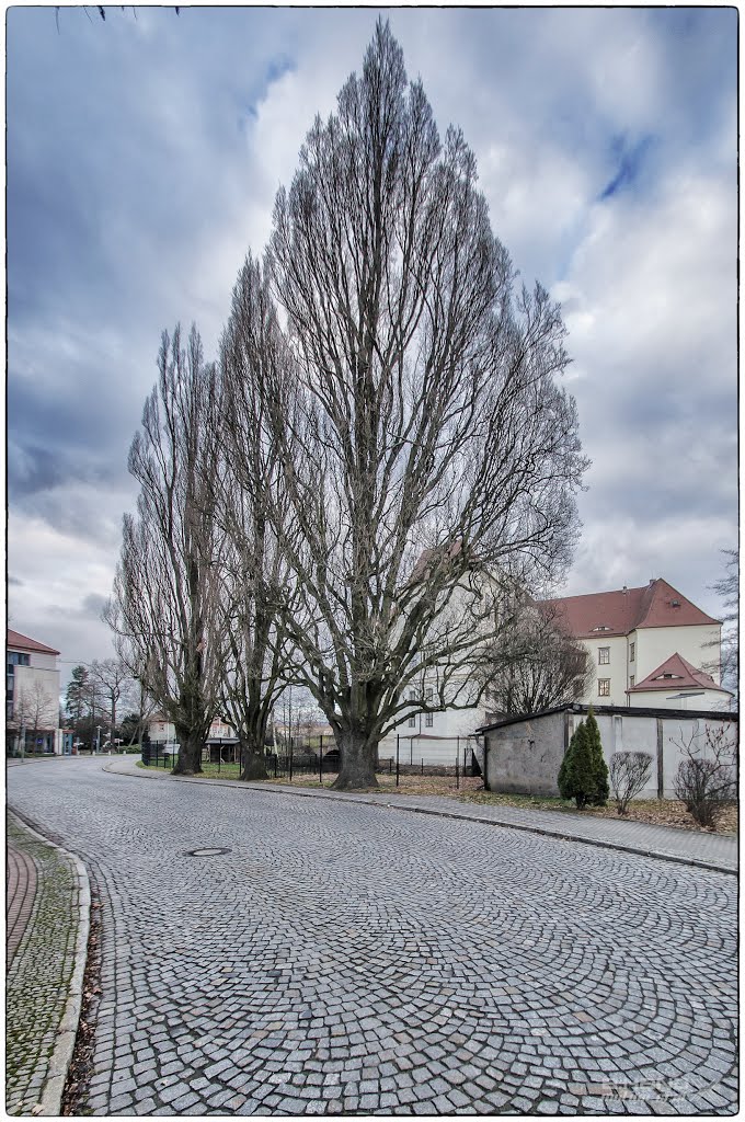 Fischerstrasse im Dezemberblick