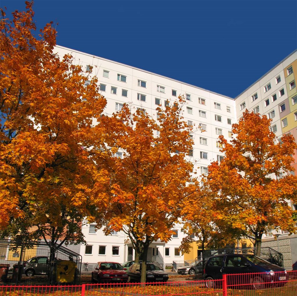 Hoyerswerda, sanierte Plattenbau