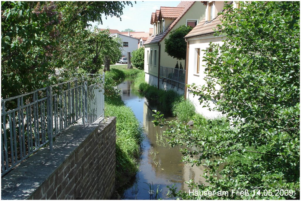 Alte Elster