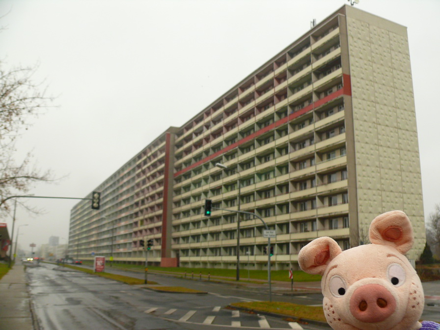 Jede Architektur wird mit Rosalie schön!