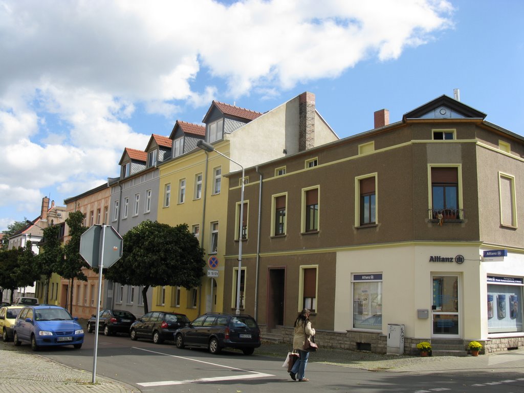 Four colour house